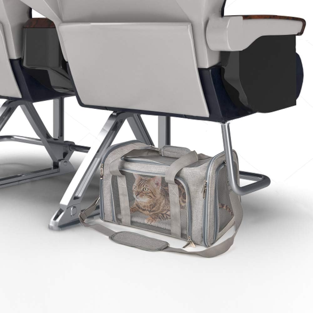 Henkelion Pet Carrier Airline approved design