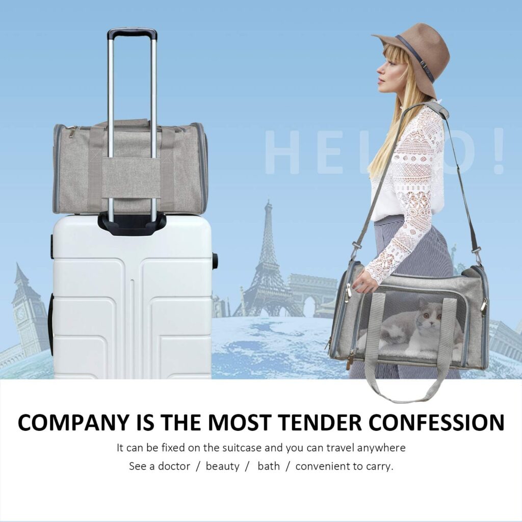 Henkelion Pet Carrier reviews