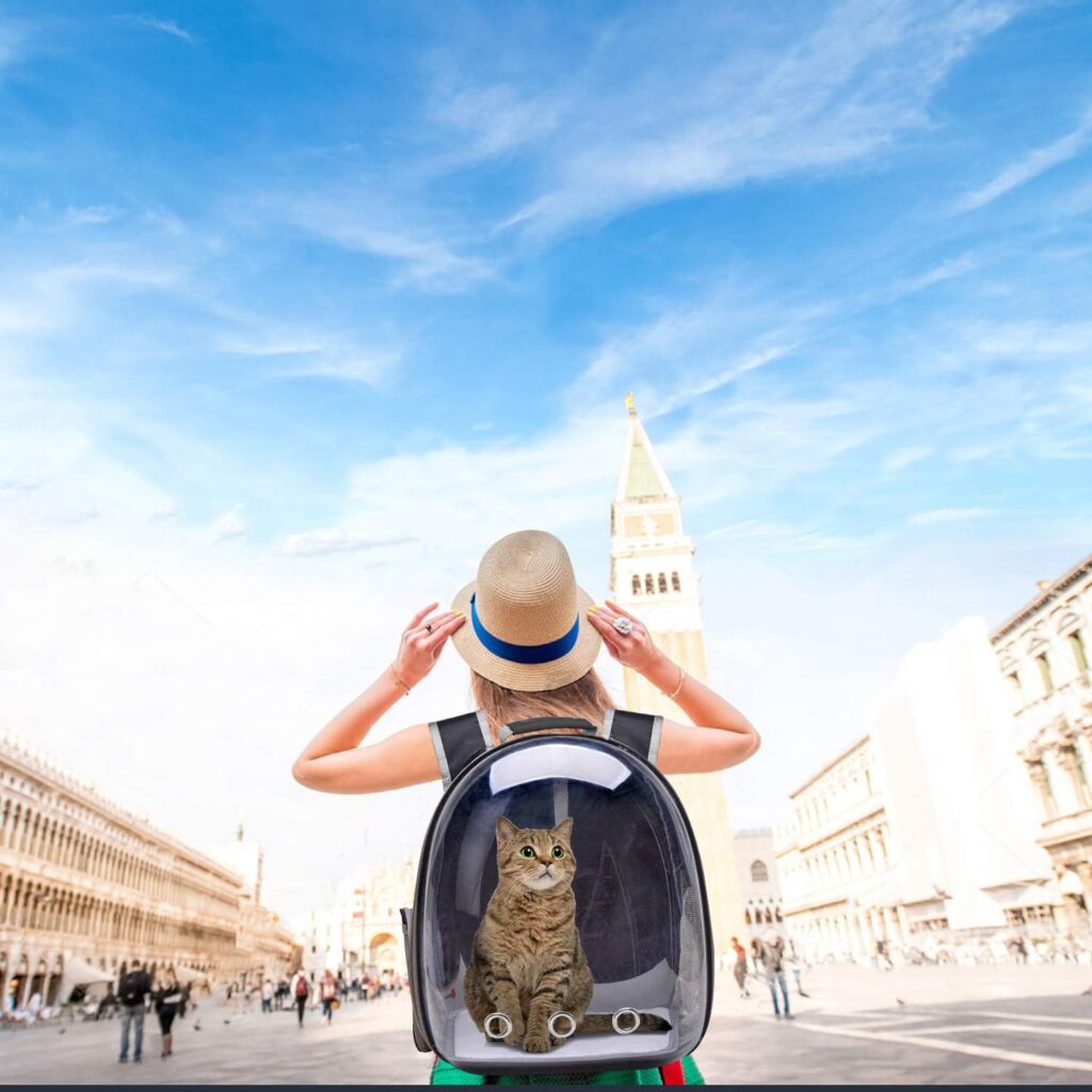 Henkelion Bubble Backpack Carrier for travel